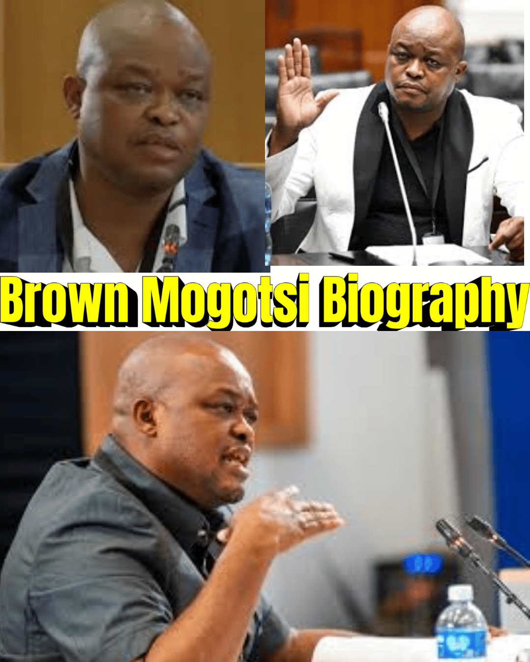 Brown Mogotsi Biography – Business Career, Political Links & Public Profile