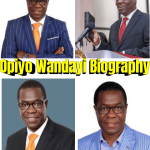 Opiyo Wandayi Biography – Age, Education, Political Career, Wife & Net Worth